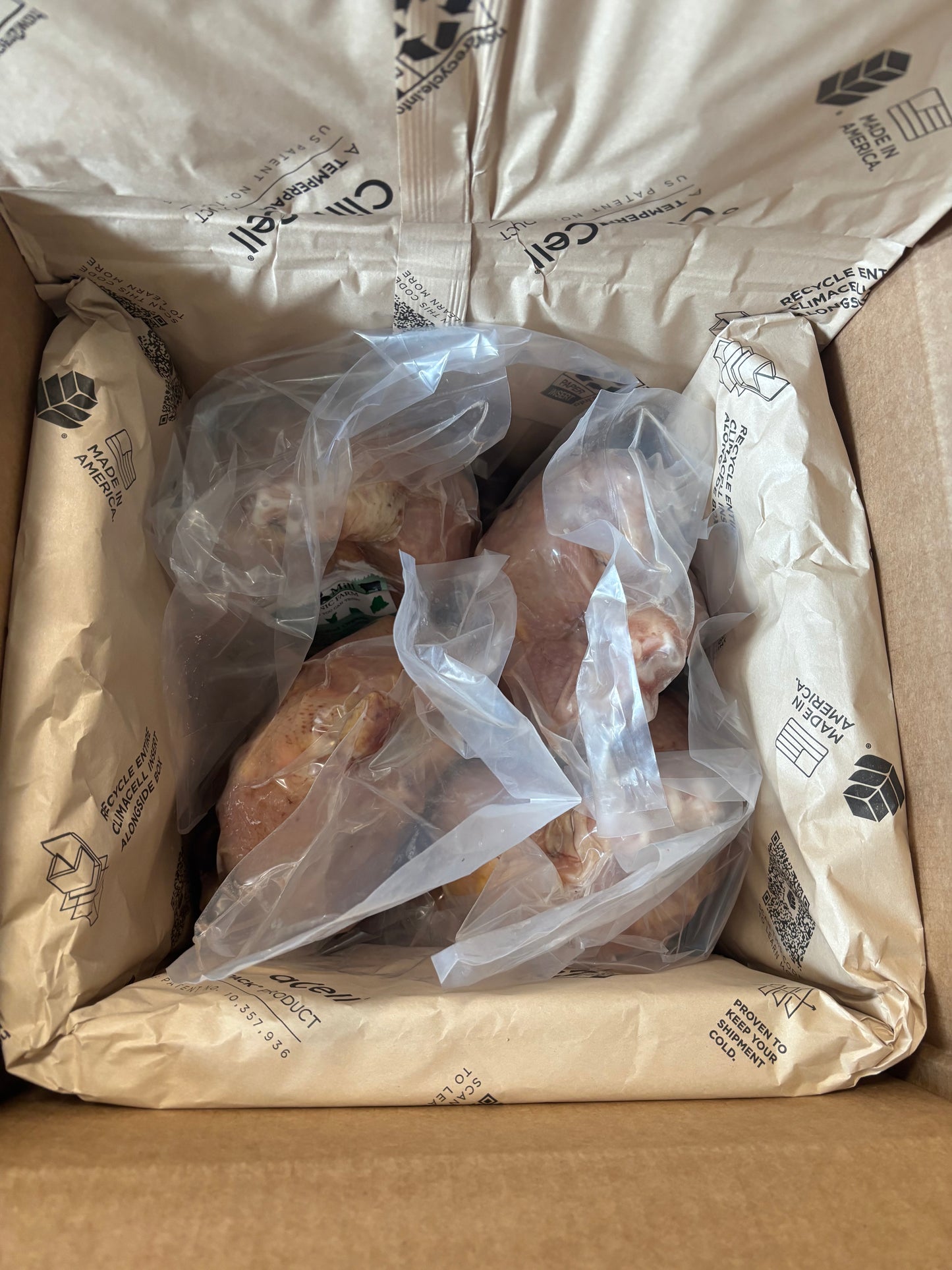 Big Bird Bundle