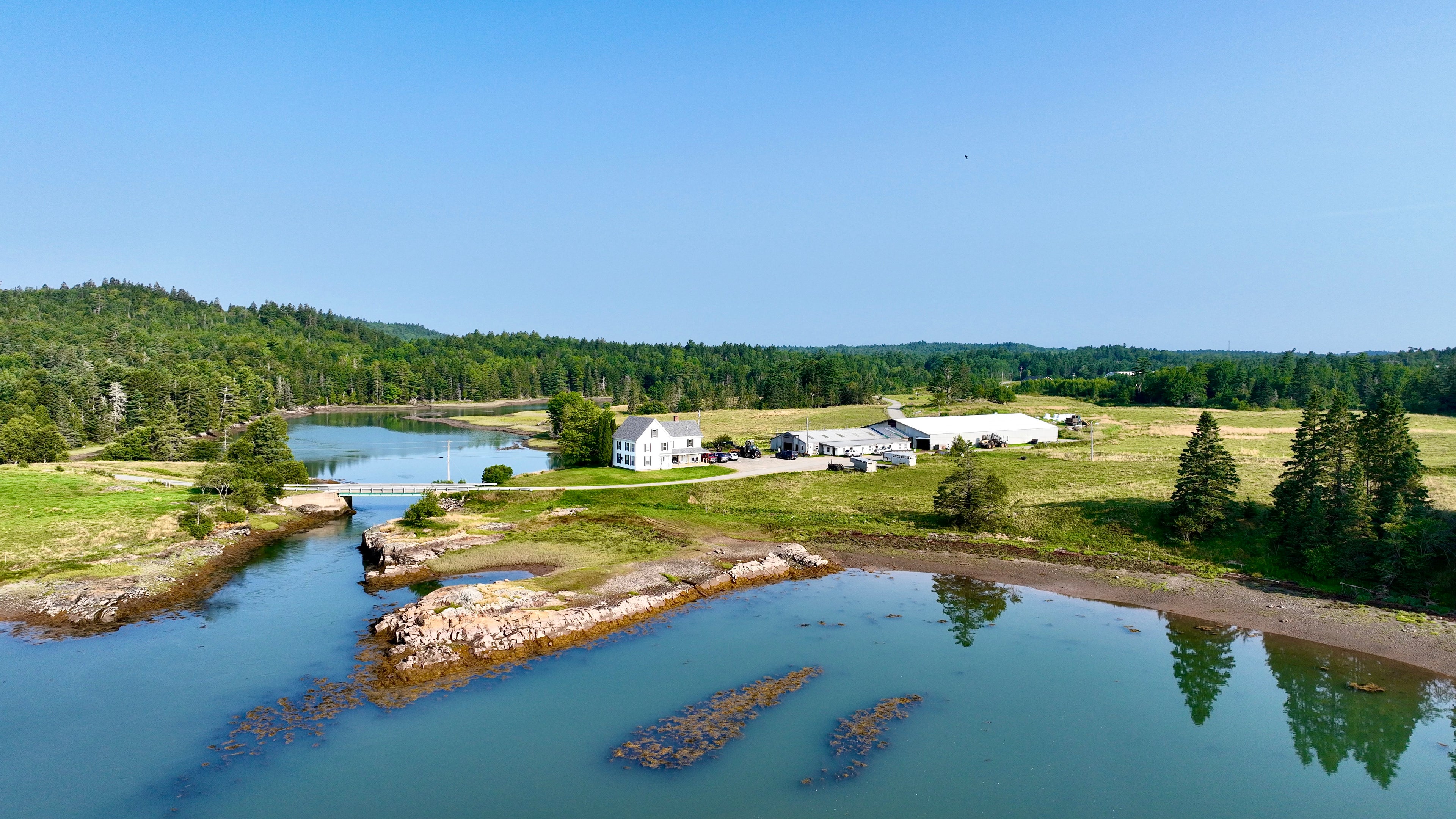 Tide Mill Organic Farm - Photo 2