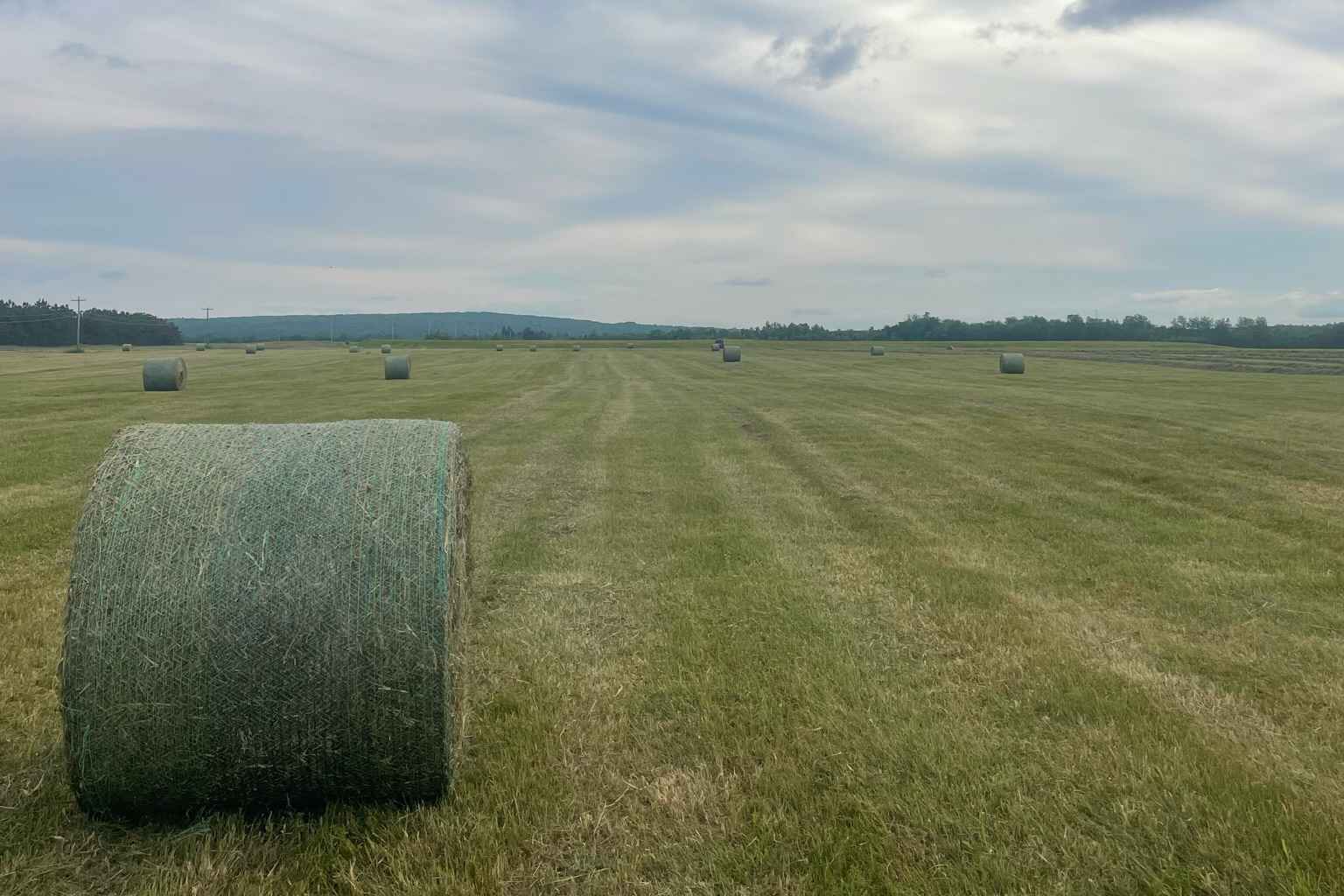 Tide Mill Organic Farm